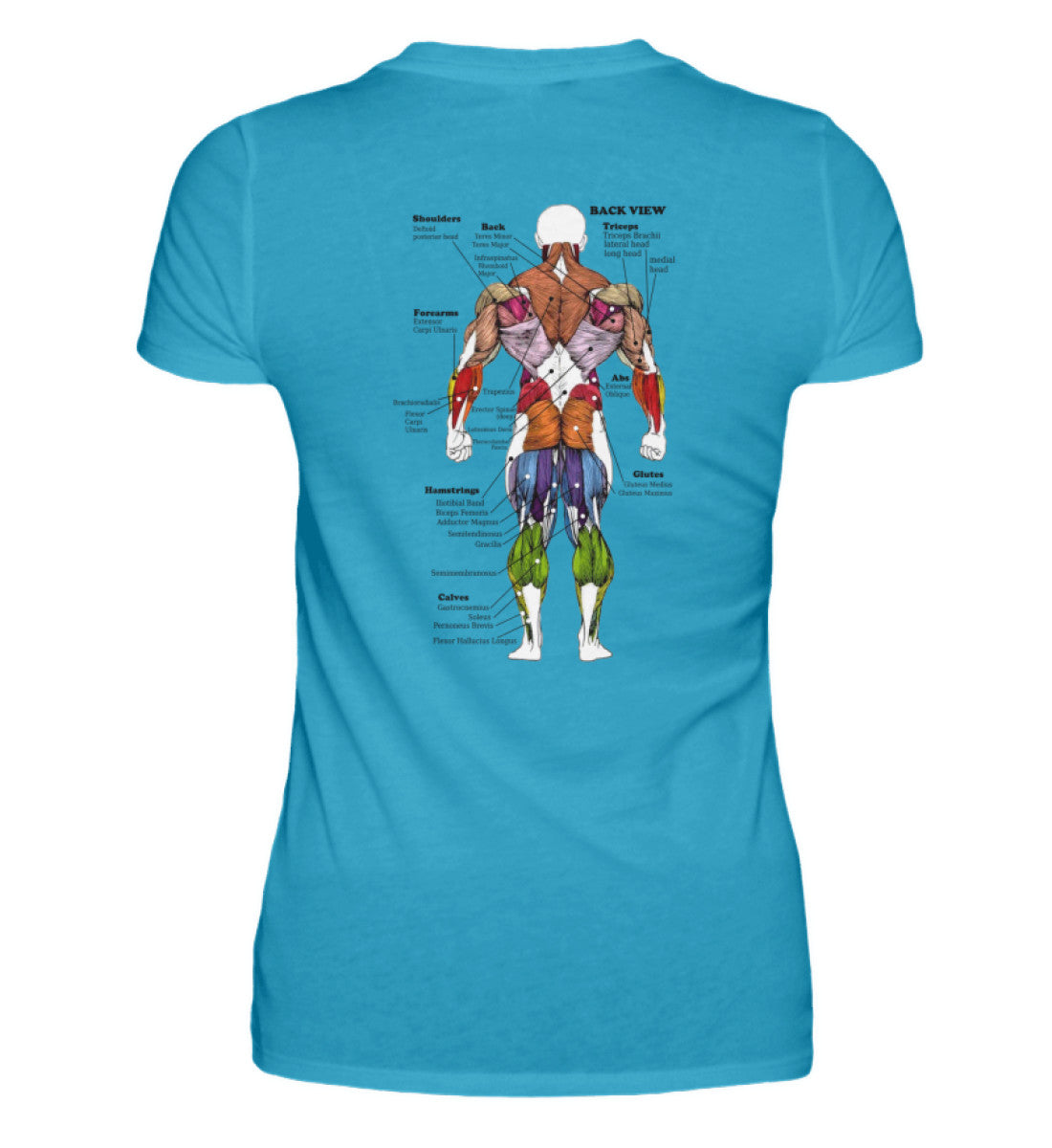 Turquoise-3175